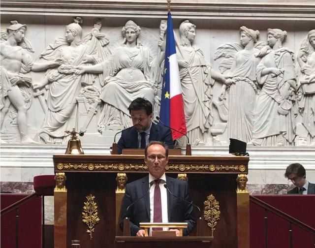 Député Bruno fuchs présent à la garden-party